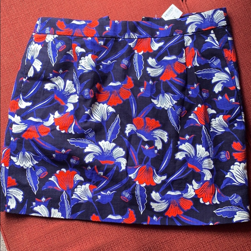 Jcrew skirt